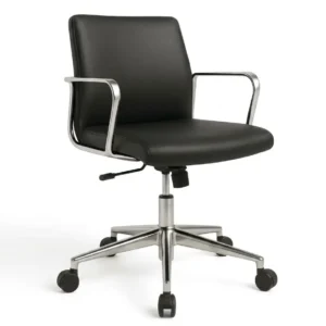 Executive Low Back Revolving Chair